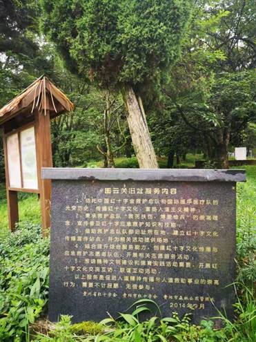 79ecaed482632cdb286f3af133313de